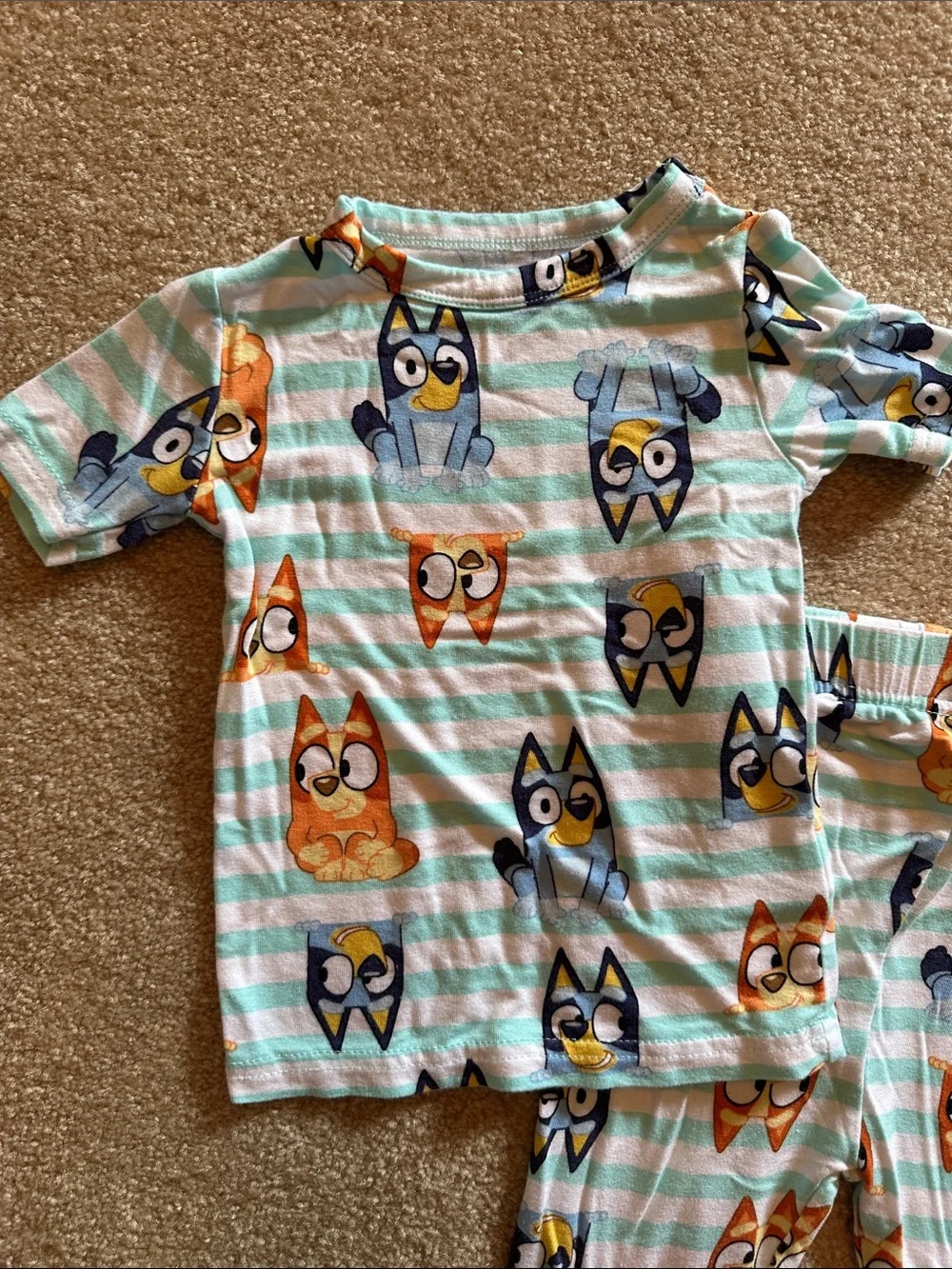 Bluey pj set